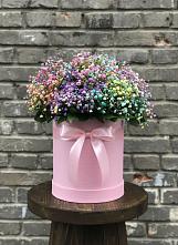 Цветочная композиция из Гипсофила и Розы в шляпной коробке в Приобье