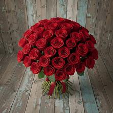 Букет 55 Красных роз Фридом #REPLACE_PRED# Приобье
