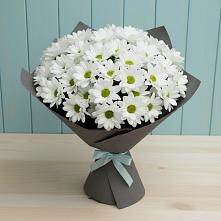 Букет цветов из:  Хризантемы #REPLACE_PRED# Приобье