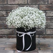 Цветочная композиция из Гипсофила в шляпной коробке в Приобье