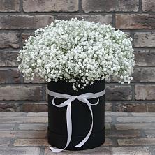 Цветочная композиция из Гипсофила в шляпной коробке в Приобье