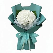 Букет цветов из:  Гортензия в Приобье